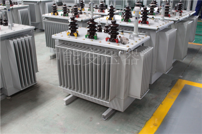 泉州S22-250KVA/10KV变压器
